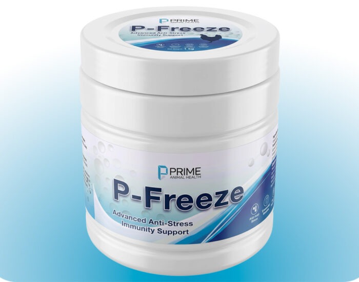 P-Freeze