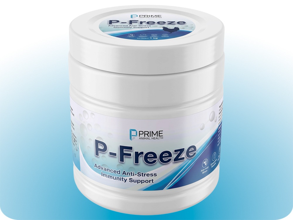 P-Freeze